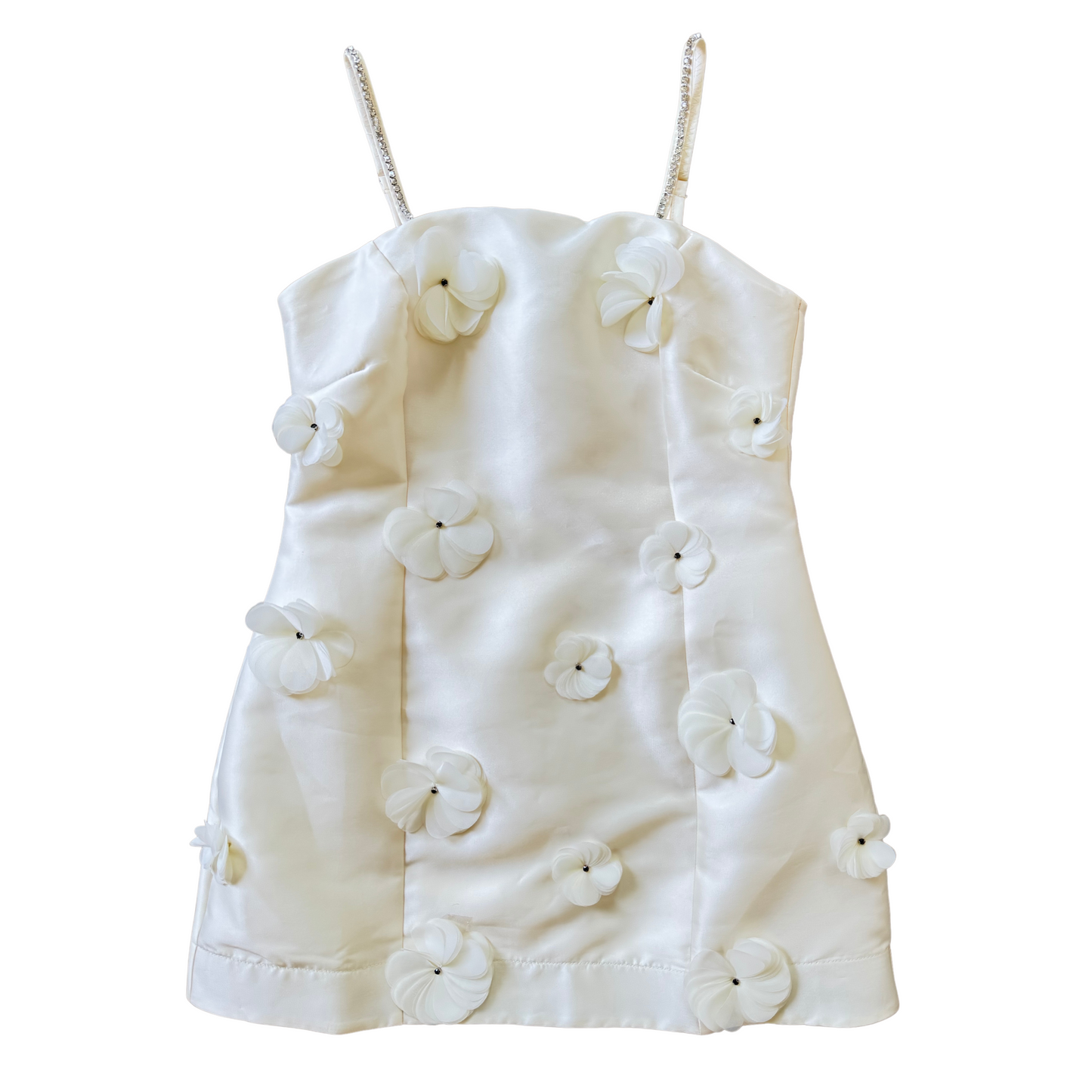 The Floral Applique Mini Dress