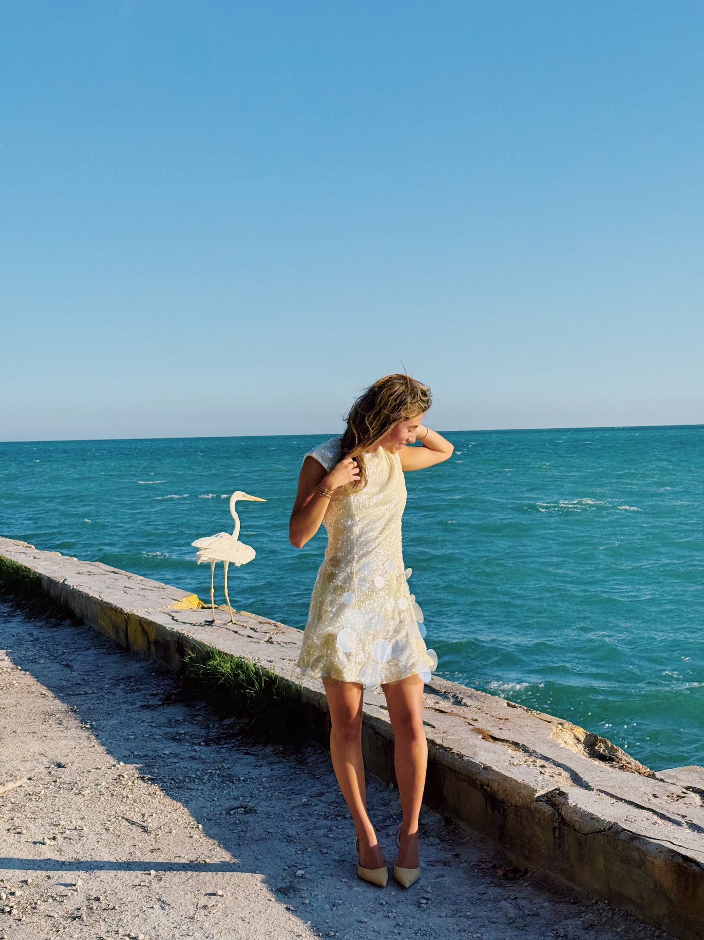 The Golden Hour Sequin Dress
